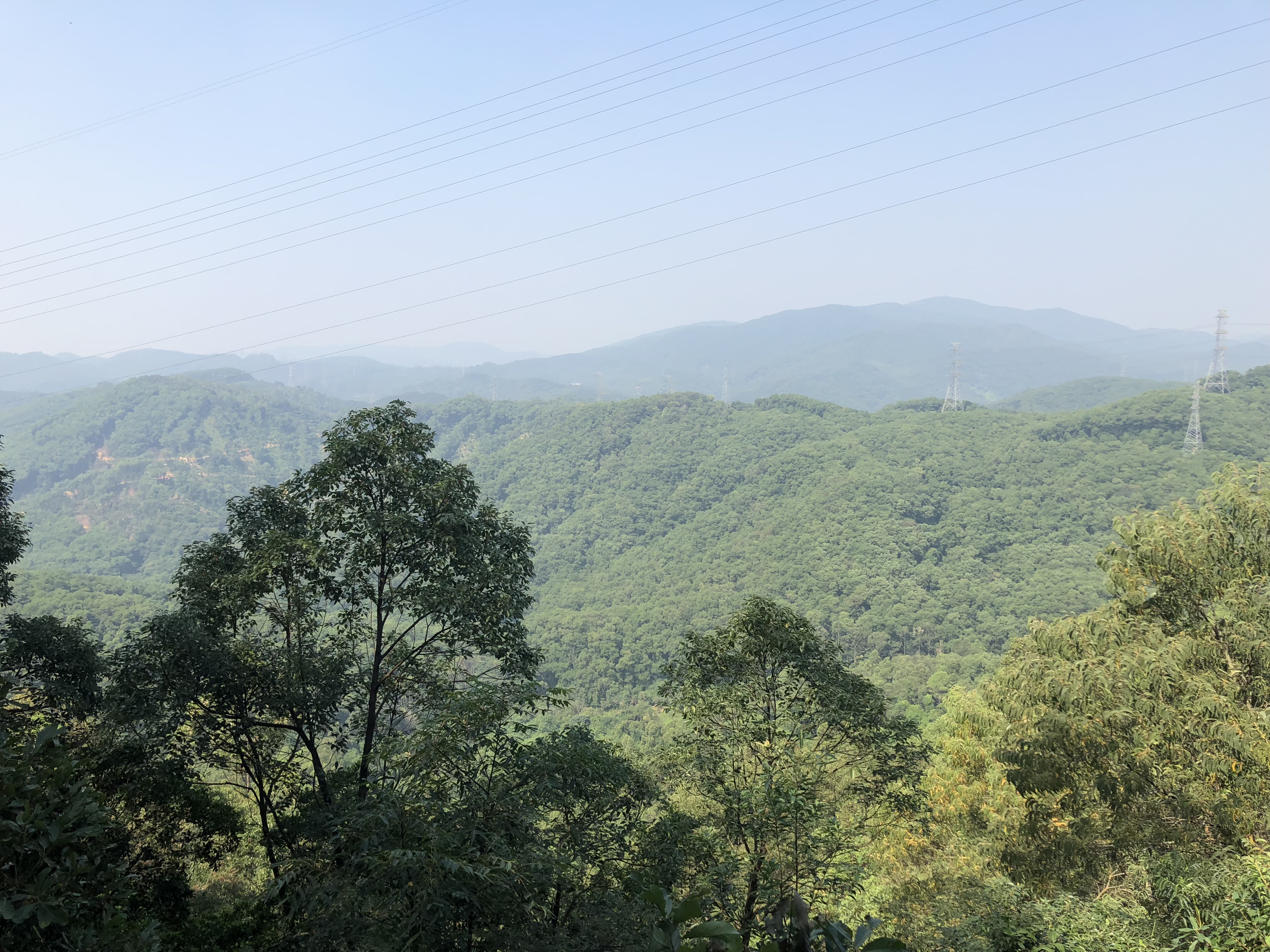 深圳金峰盛公司，長(zhǎng)安郊野公園